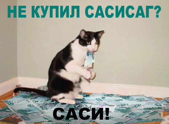 кот Матроскин и счёт за интернет