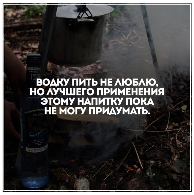 Фотки и картинки: юморные и красивые, забавные и милые 16.09.20
