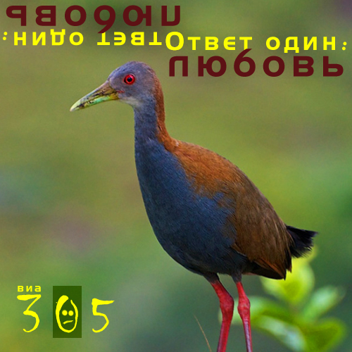 Фотожаба: Создаём свой альбом
