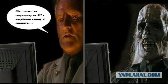Чего он мог ждать?