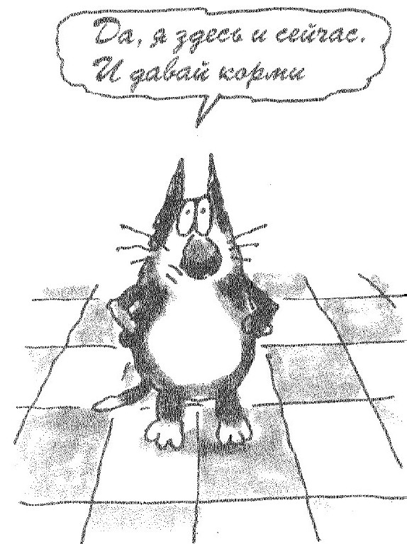 С котопятницей! Улыбнемся?