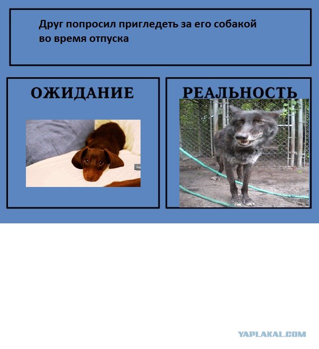 Фотожаба: Ожидание / Реальность