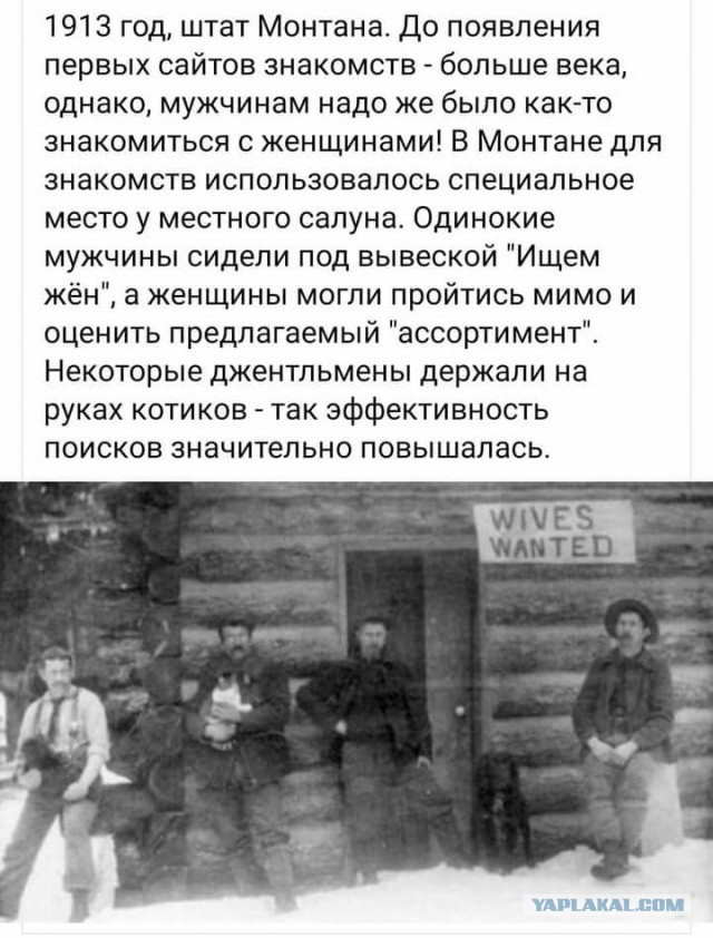 Картинки и мемы для настроения 016