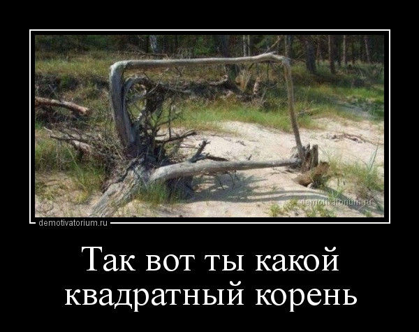 Так себе картинки 23.04.21