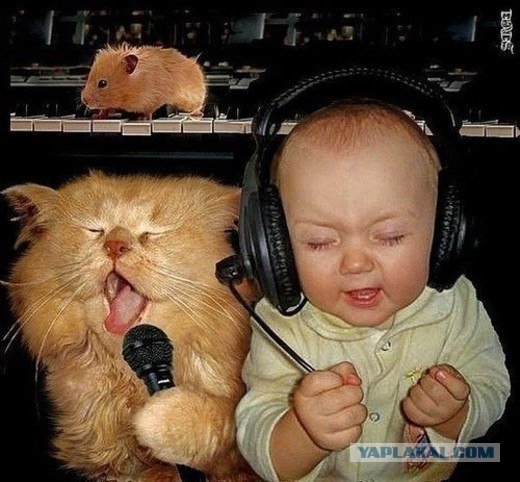 Пацан кривляет танцующих девушек