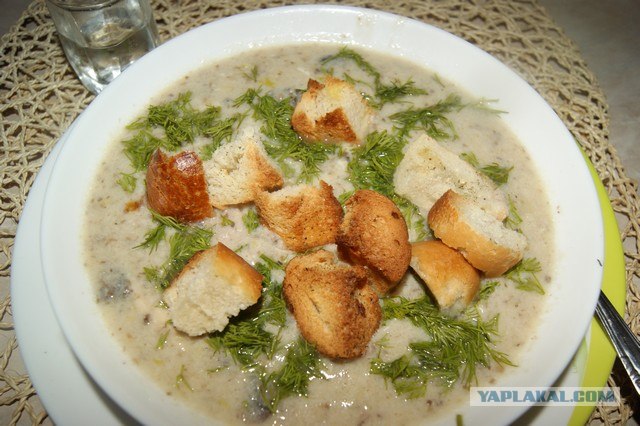 Куриный бульон для Чайников, Или «Кура-International»