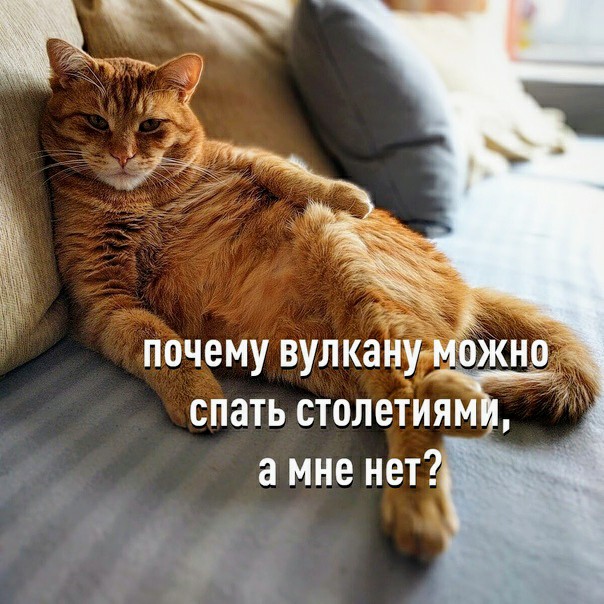 Картинки и мемы для настроения 27.09.2021