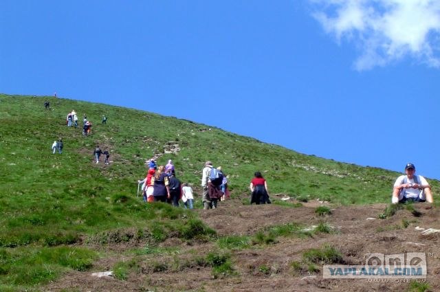 Карпаты, Закарпатье.