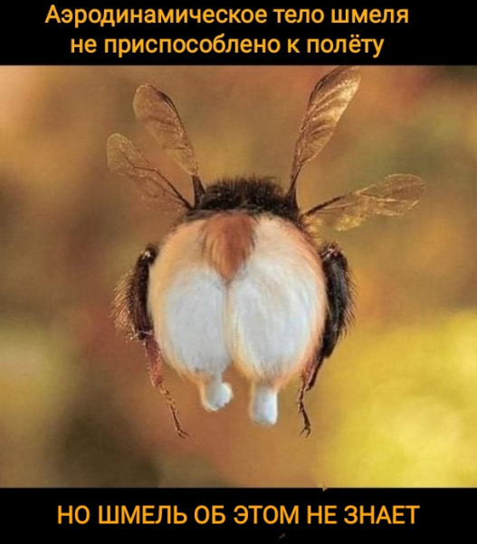 Картинки и мемы для настроения  - 25