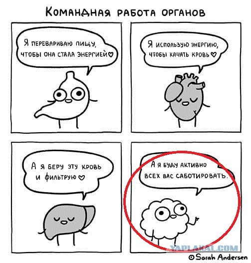 Так себе картинки 28.02.22