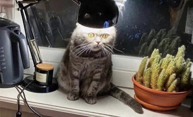 И такое бывает