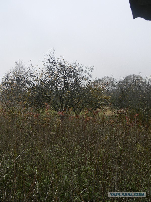 Забытая  людьми деревушка