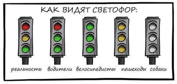В Питере сбили  бабушку