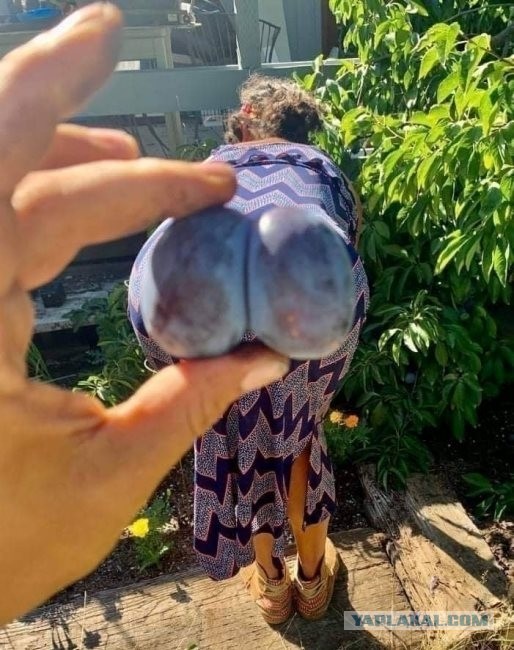 Сексуальный пост