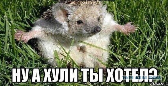 Мгновенная карма настигла жителя Березников