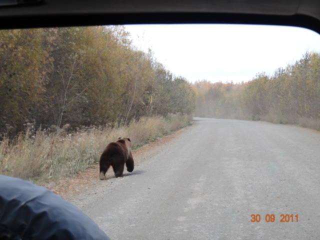 Петропавловск-Камчатский и его окрестности...