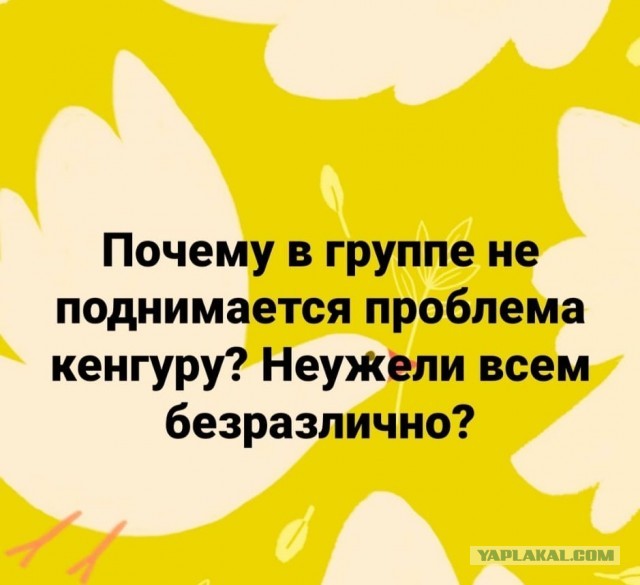 Народная меДИЧина 5010