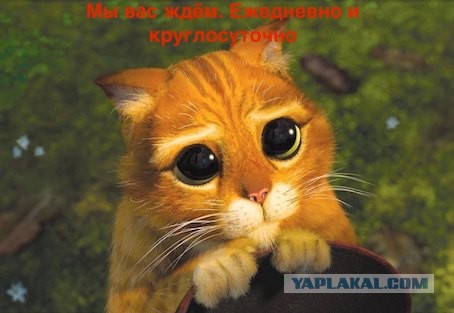 Реклама от военкома