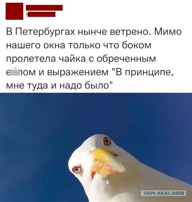 Так себе картинки 02.01.2023