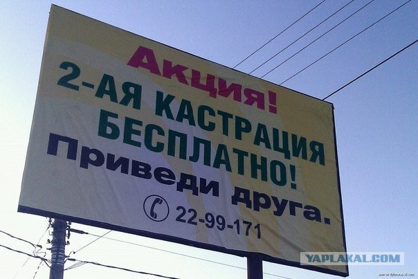 В Сыктывкаре побили геев