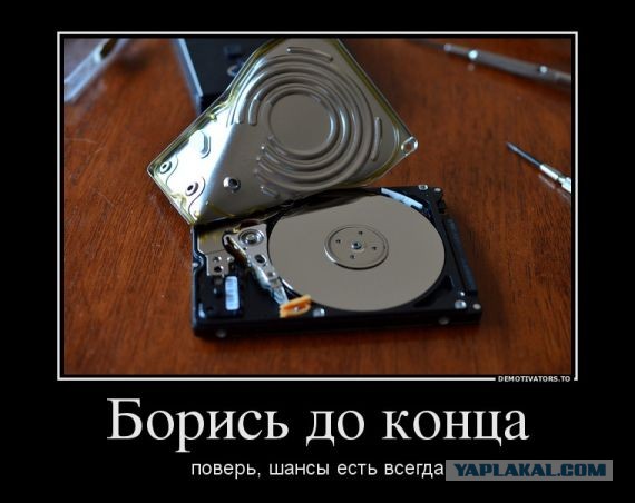 SSD надежнее, чем HDD – опубликована новая статистика Backblaze