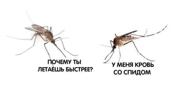 Картинки аморальные и всякие разные - 48