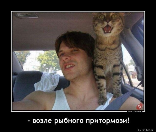 Так себе картинки 24.04.23
