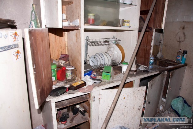 Все, что вы хотели знать об Эстонии...