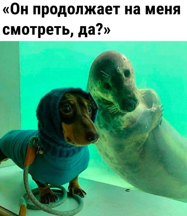 С какими загадочными явлениями вам приходилось сталкиваться?