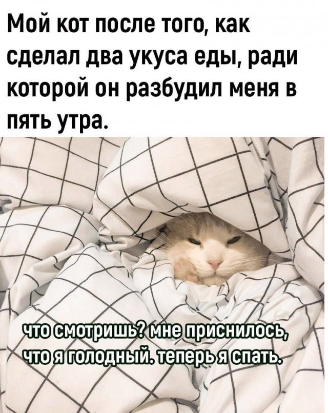 Разное
