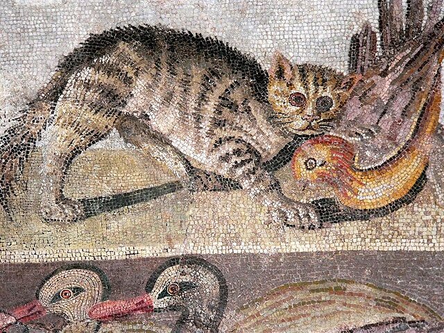 Как коты приручили сами себя, стали египетскими богами и римскими легионерами