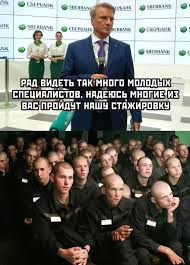 У школы Петербурга задержали девушку, бросившую коктейль Молотова в плакат о выборах