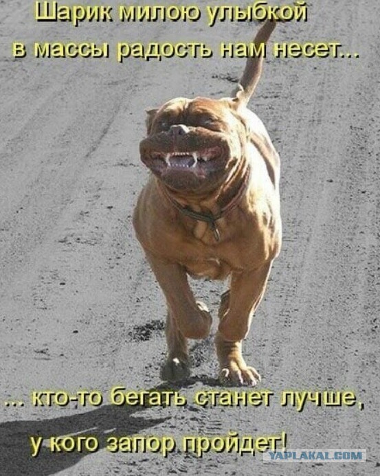 Просто догонялки