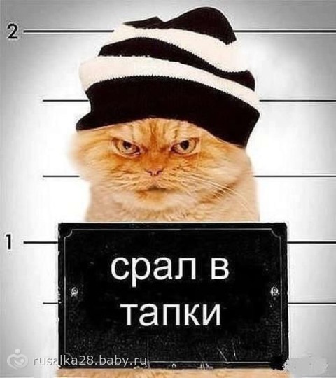 ФотоВинегрет