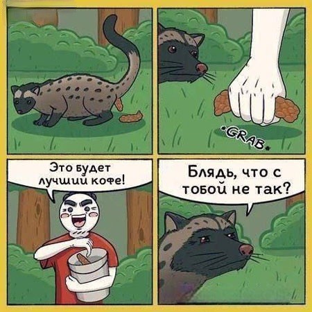 Отряд быстрого деградирования