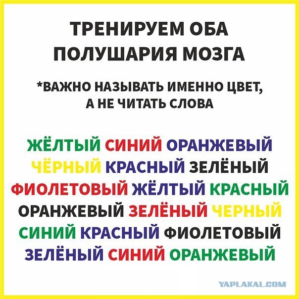Так себе картинки 08.11.24