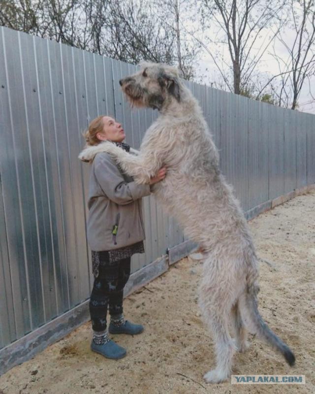 Он не верит в свое счастье