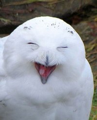 Милая, ты неликвидна