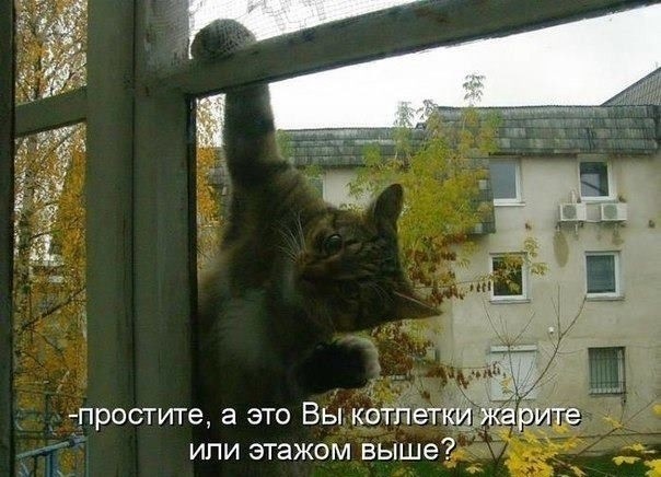 Всякая всячина