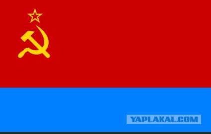 В московском баре "Хмель и солод" срезал украинский флаг с висевшего там полотна