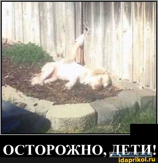 Жизненно, иногда черно, вобщем как попало