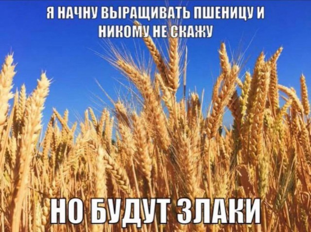 Картинки для деградации 102 (разной степени свежести)