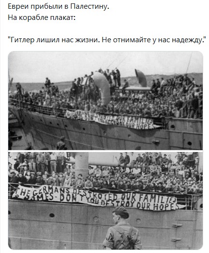 Понаехавшие