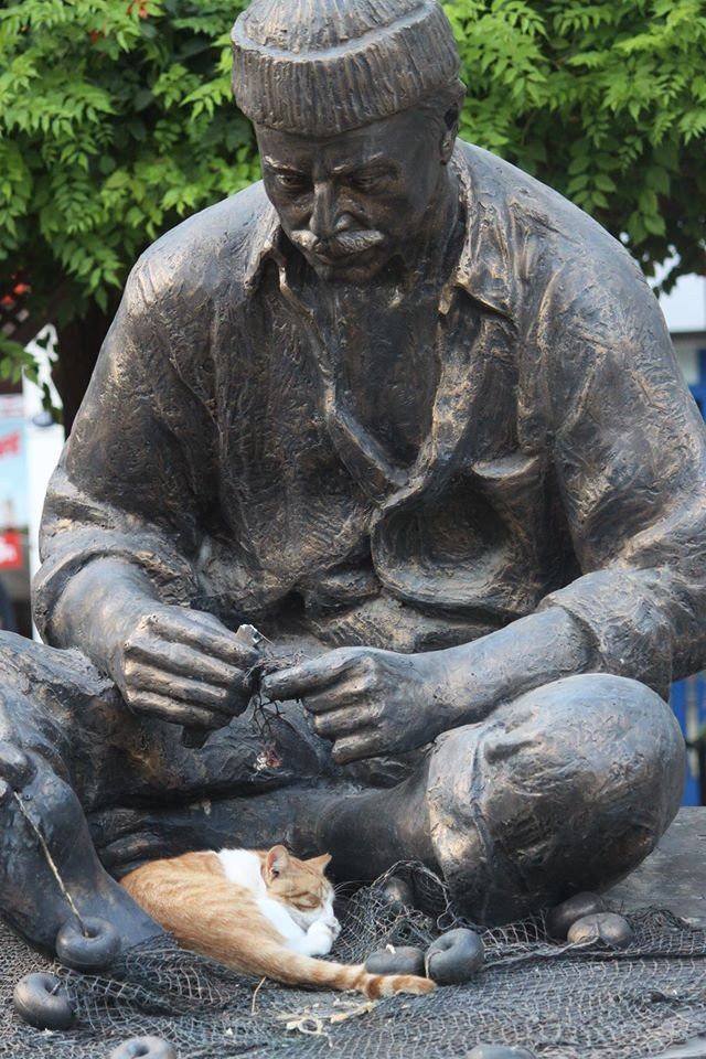 Возлюби кота ближнего своего