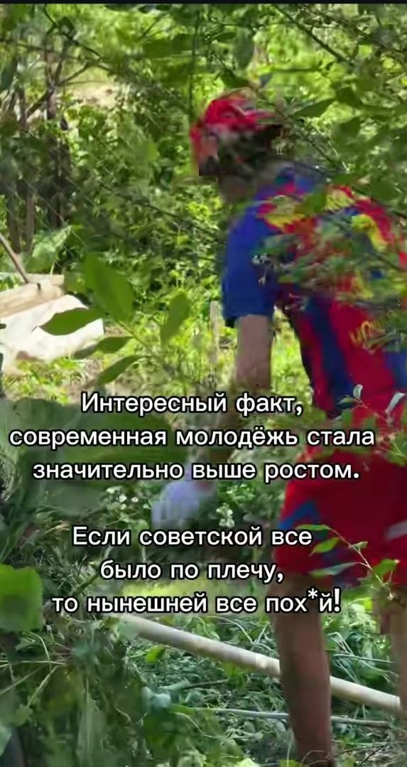 Картинки для деградации 222 (разной степени свежести)