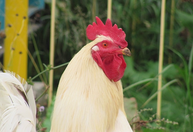 Киргиз насиловал несовершеннолетних в Москве