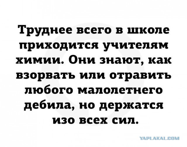 Картинки для деградации 278 (разной степени свежести)