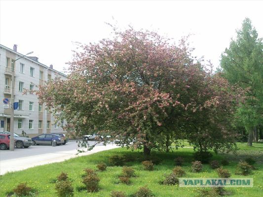 Достопримечательности Новосибирска
