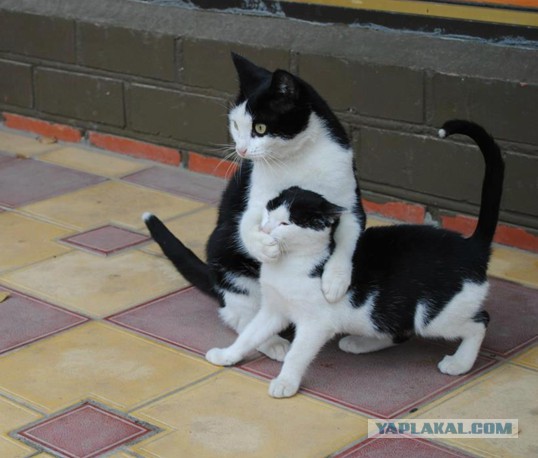 Зашли кофейку попить