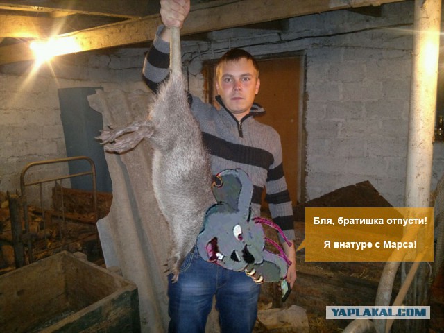 В гараже поймал....